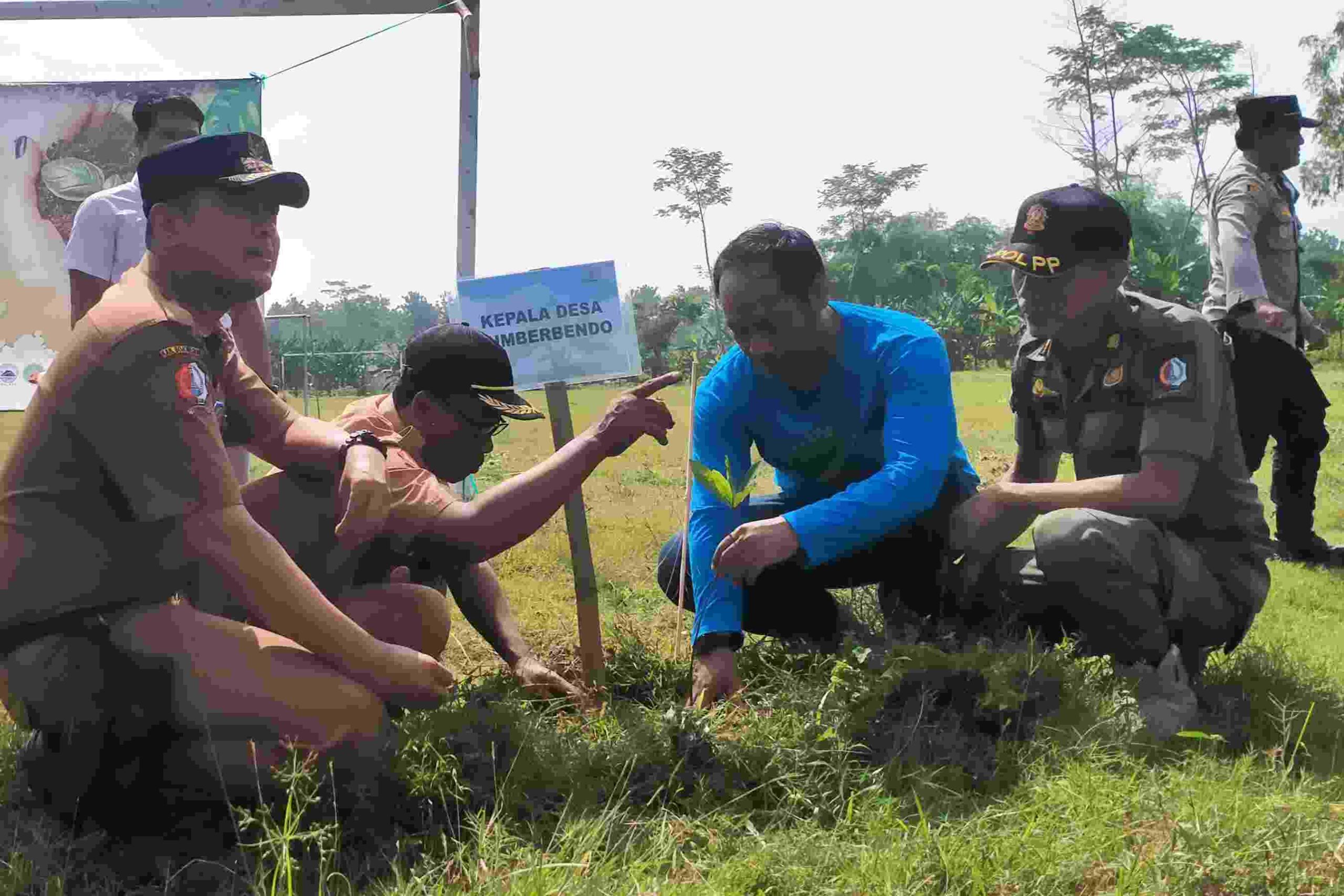 MediaPantura.com | Rayakan Hari Hutan Sedunia, IDFoS Indonesia Taman Seribu Pohon di Wilayah Bubulan dan Ngasem