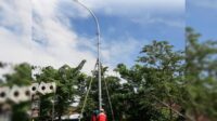 MediaPantura.com | Beri Rasa Aman Pemudik, Pemkab Bojonegoro Pasang PJU di Jalur Perbatasan
